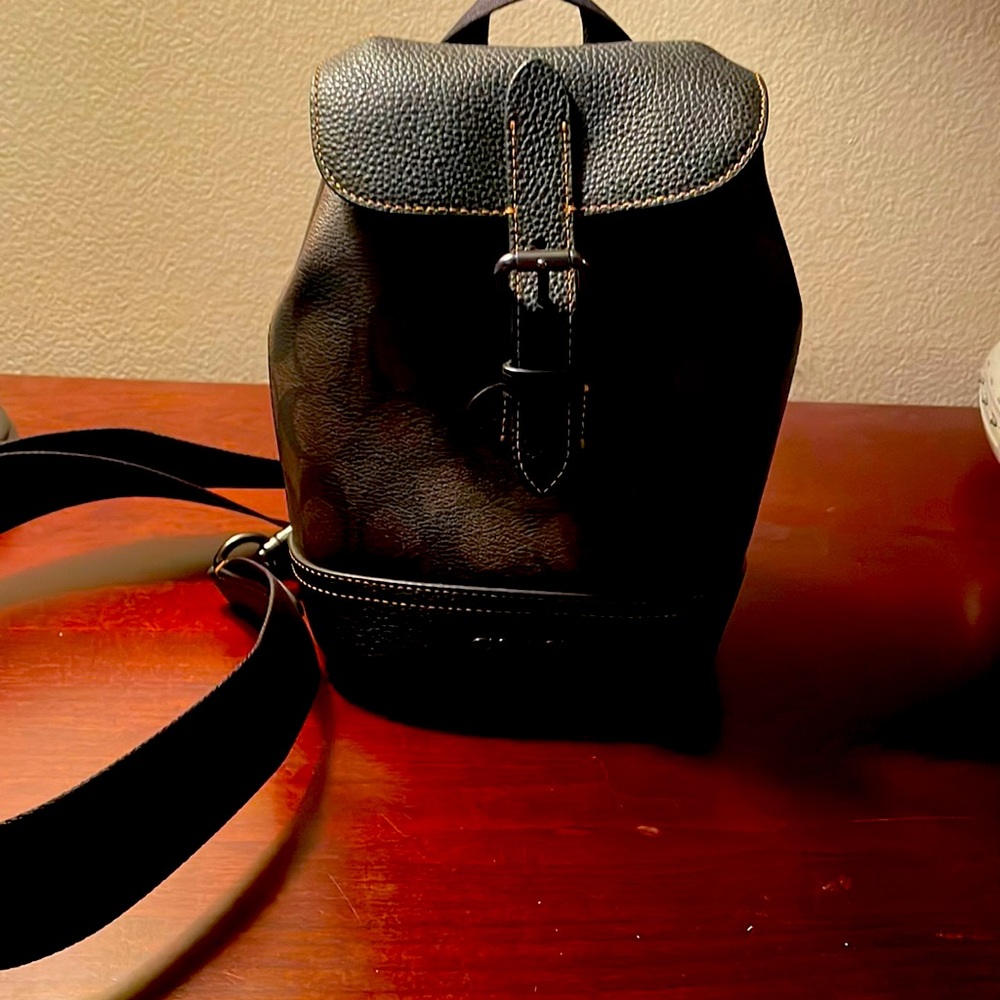 Coach Hudson small pack